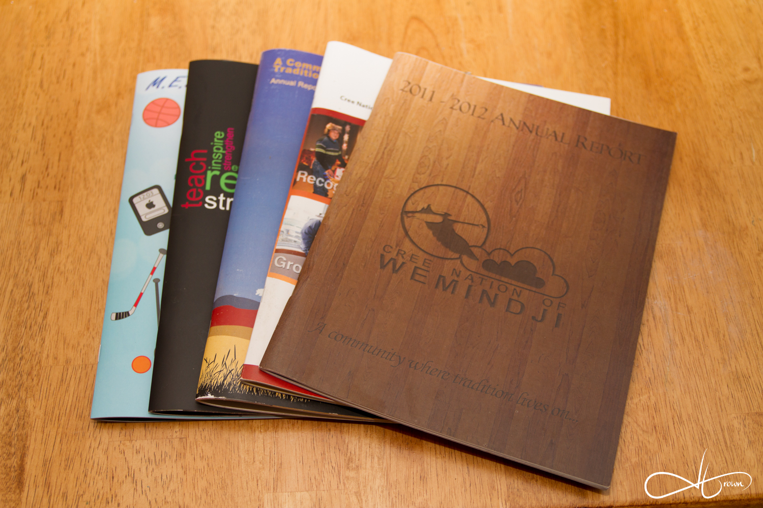 Annual report series
